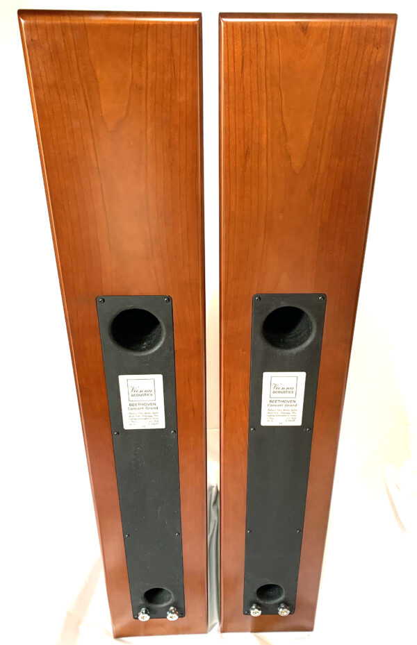 【美品】vienna acoustics ウィーンアコースティックス Beethoven Concert Grand T-3G スタンド/スパイク付き - 画像 (8)